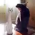 GATTINATOR
