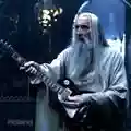 The Guitarist